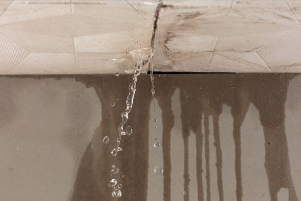 Professional Water Extraction technician working in Floral Park, NY